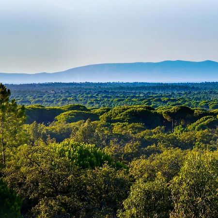 A Serenada Enoturismo Grandola Ngoại thất bức ảnh