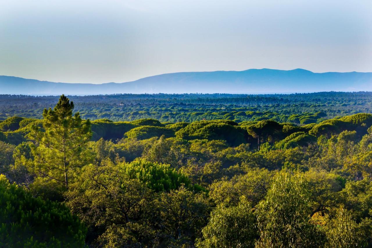 A Serenada Enoturismo Grandola Ngoại thất bức ảnh